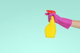 hygiene bij kakkerlakken is belangrijk