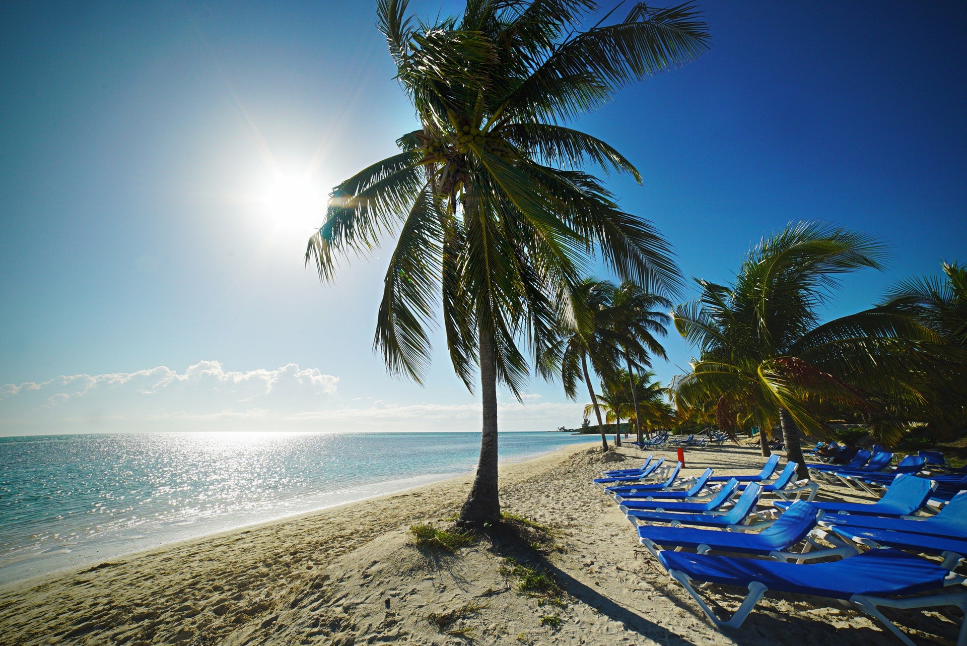 Picture of a sunny day in the Bahamas featuring crystal clear water, palm trees lining a sandy beach, and rows of blue lounge chairs.