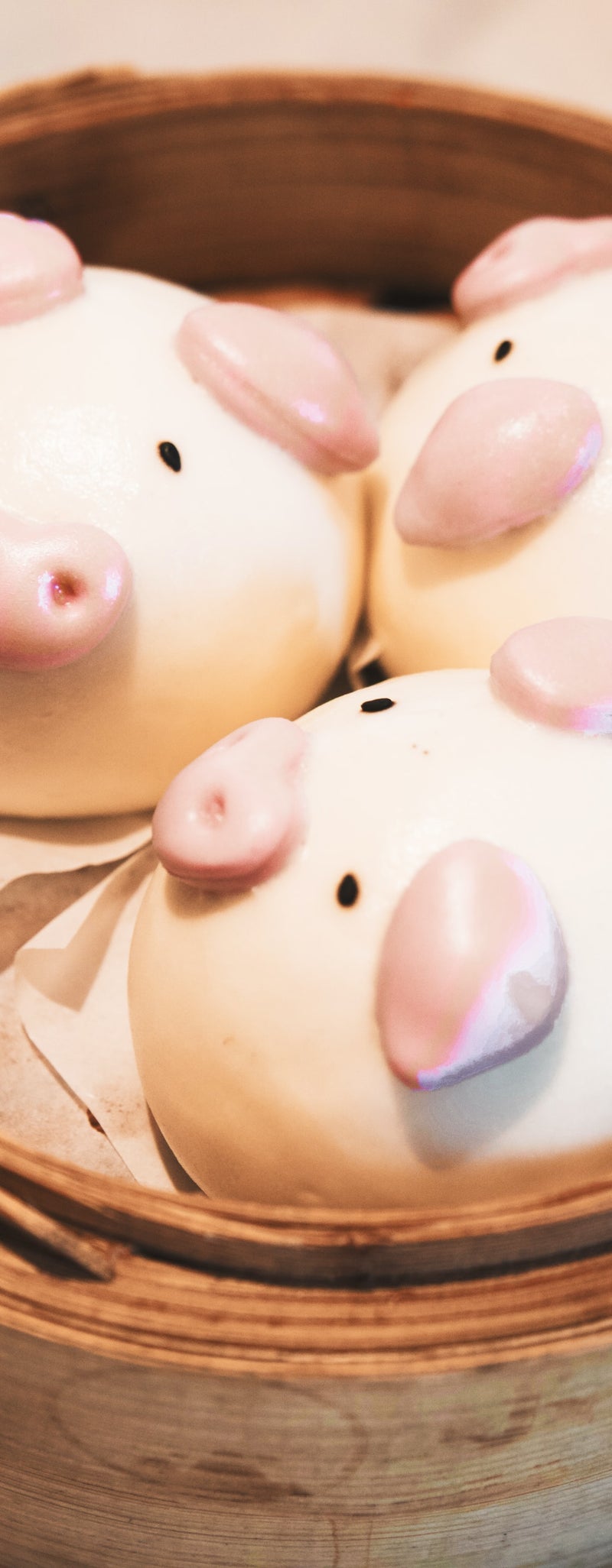 ZZP Finance | spaarvarkens