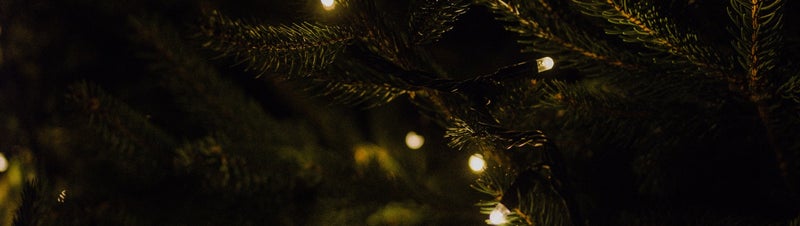 OMT adviseert kabinet: Kerst thuis met handvol gasten, liefst uit de buurt | Mediafuze