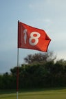 The Golf Shedd - Photo 2
