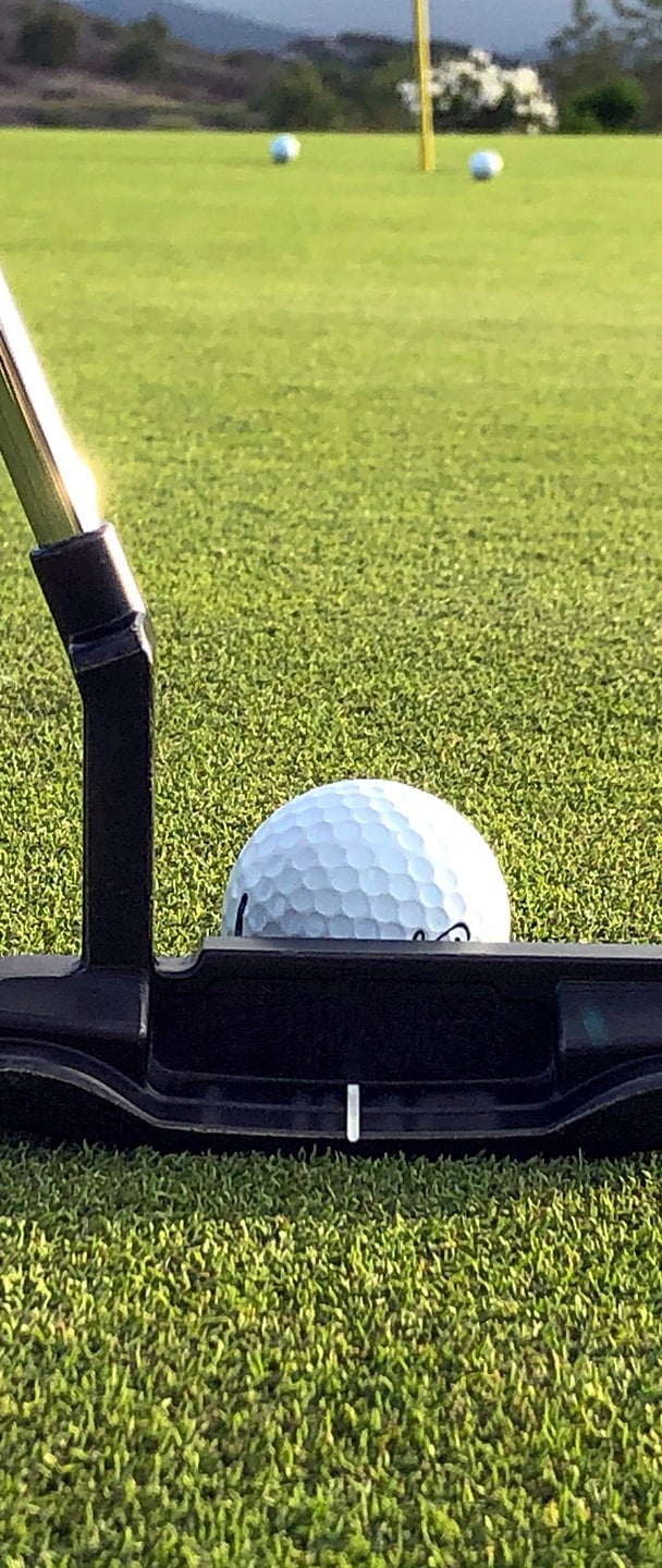 The Golf Shedd - Photo 4