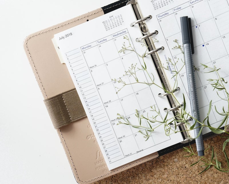 Dalmatiner Ausstellungen