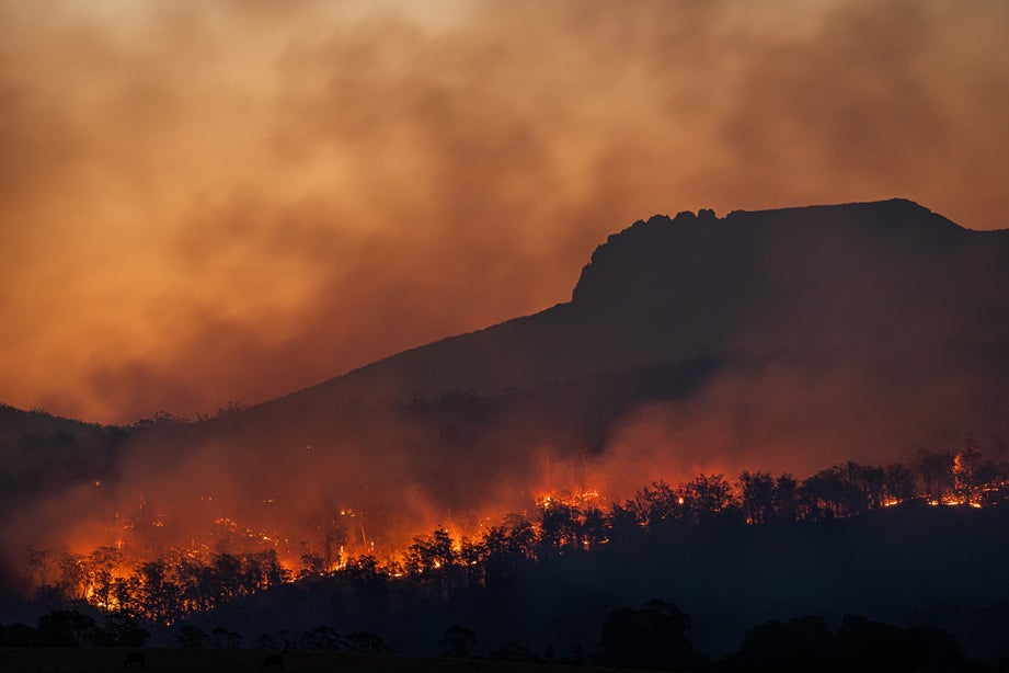 bosbrand in een bos voor een berg