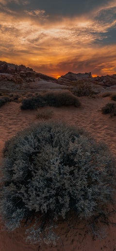 Kalahari Desert - SAVAGE Marketing