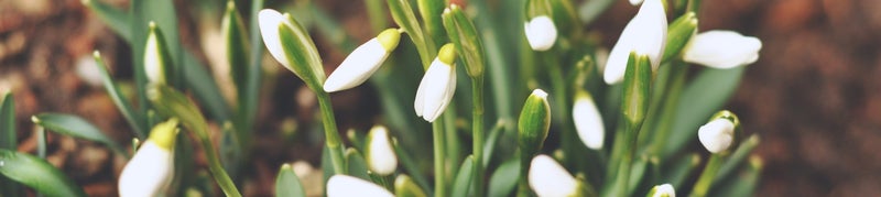 activiteiten in almelo