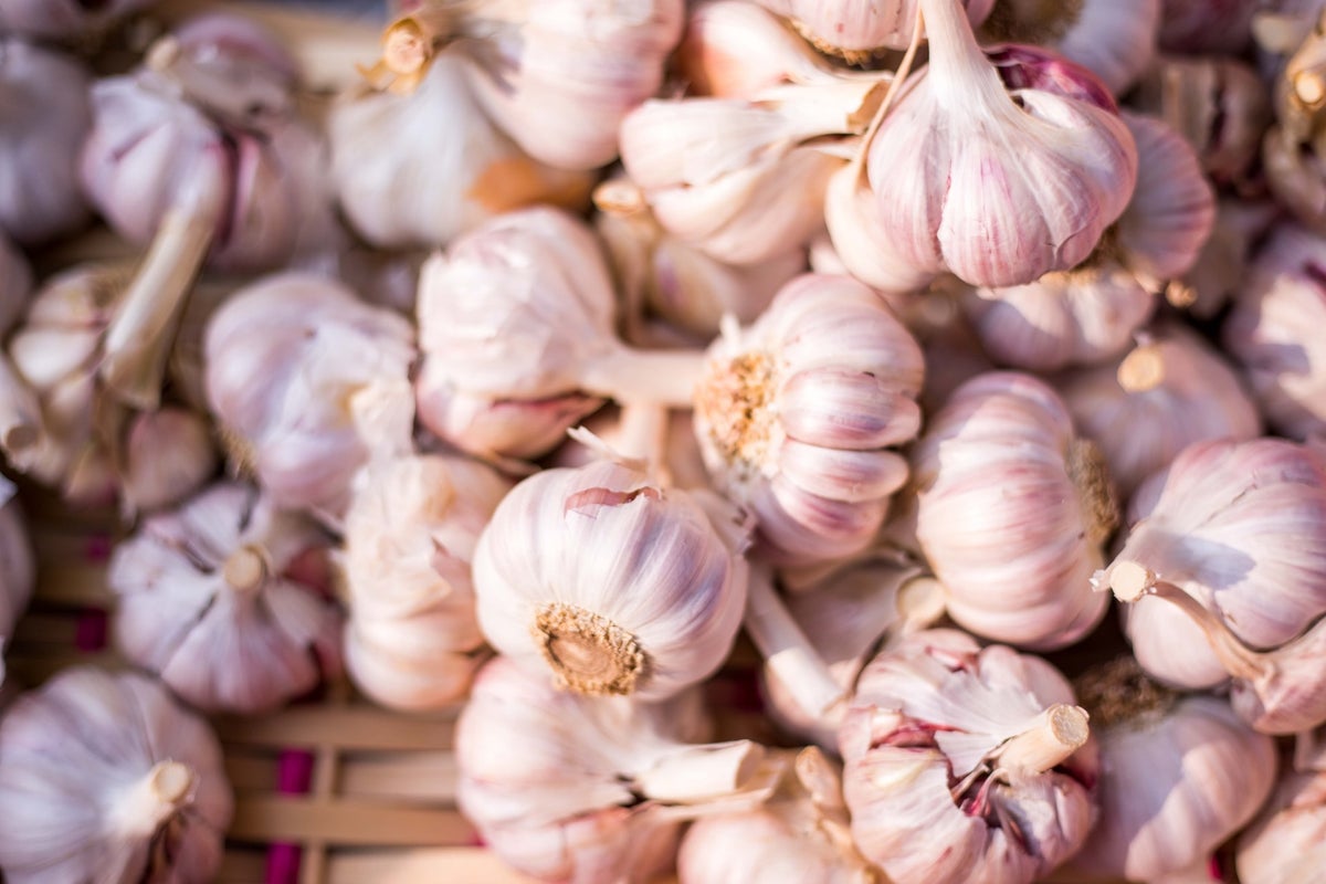 Garlic / A-z of spell ingredients / Witch tips, blogs, spells & more ...